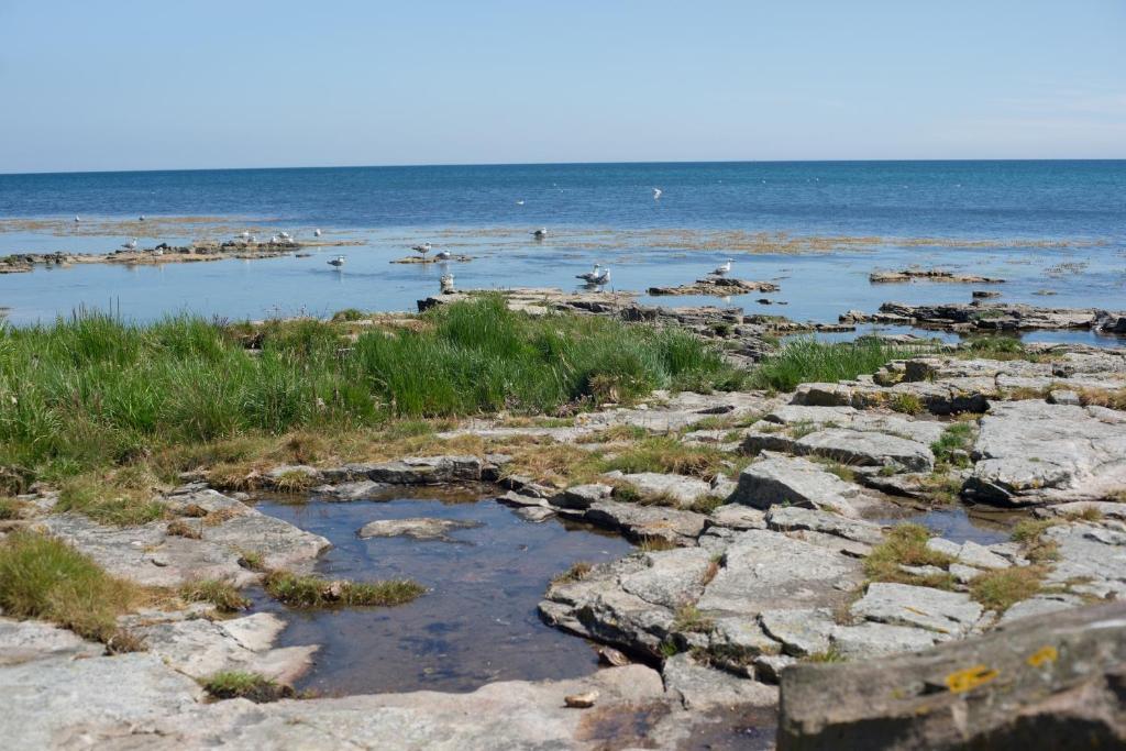 Strandhotel Balka Sobad Nexo Екстер'єр фото